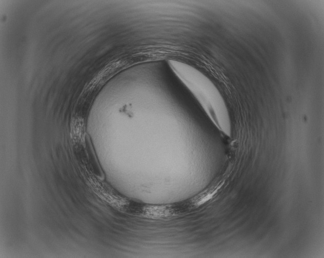 X0000081500141200702100105