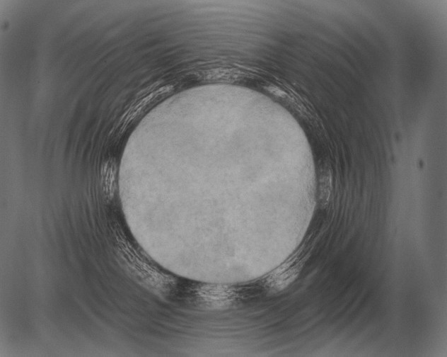 X0000081500142200702100105