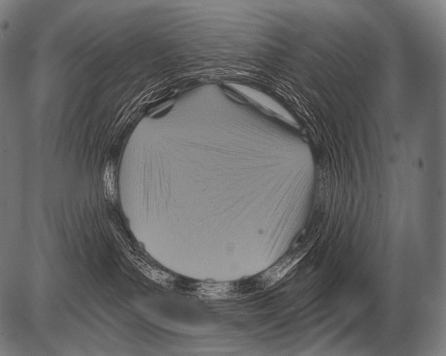 X0000081500143200702100105