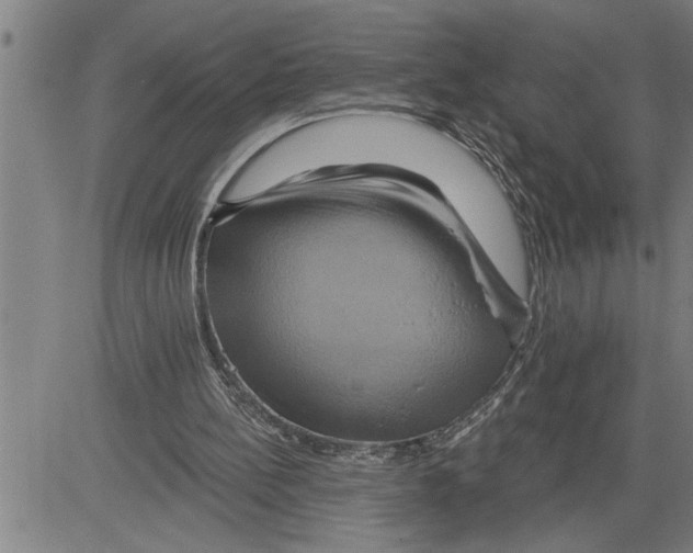 X0000081500148200702100104