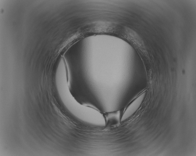 X0000081500164200702100104