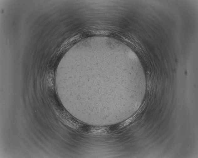 X0000081500175200702100105