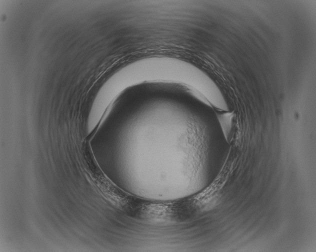 X0000081500176200702100105