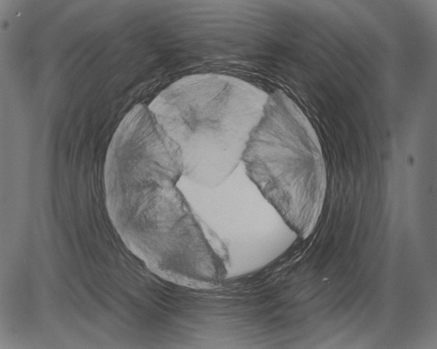 X0000081500181200702100105
