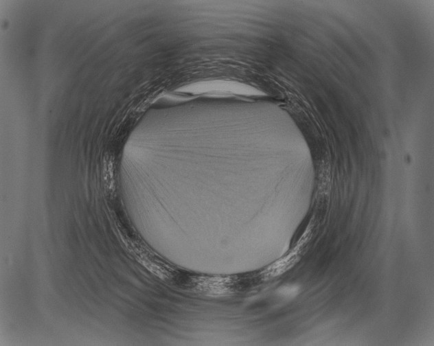 X0000081500182200702100105