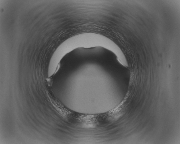 X0000081500186200702100105