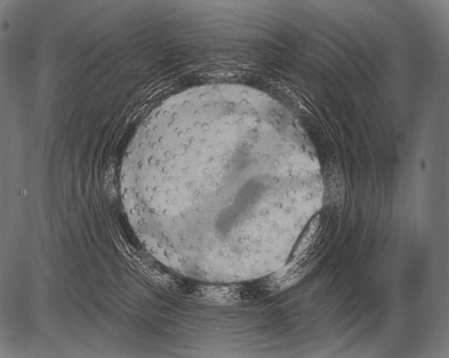 X0000081500187200702100105