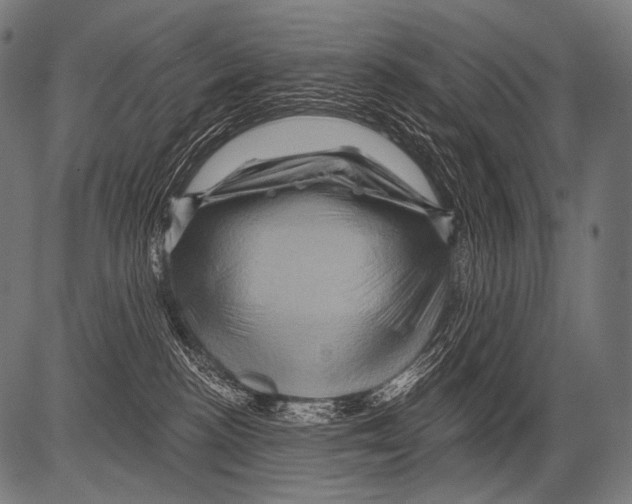 X0000081500188200702100105