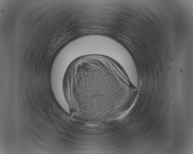 X0000081500190200702100105