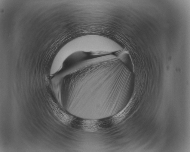 X0000081500192200702100105