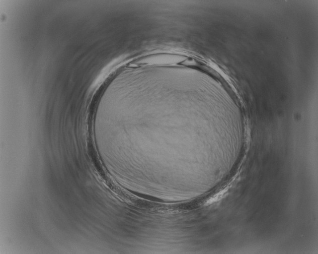 X0000081500199200702100104