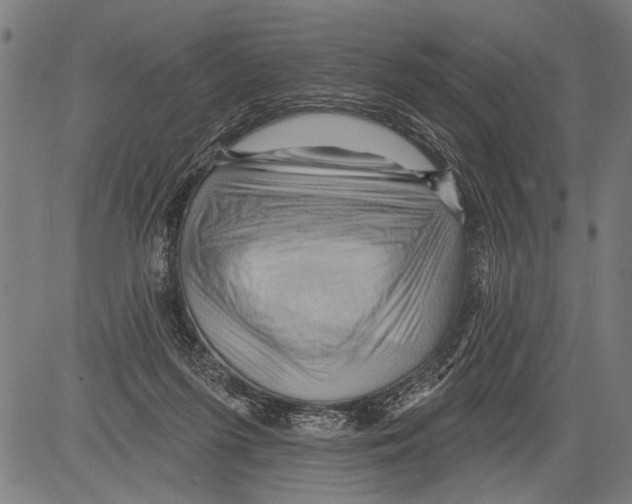 X0000081500215200702100104