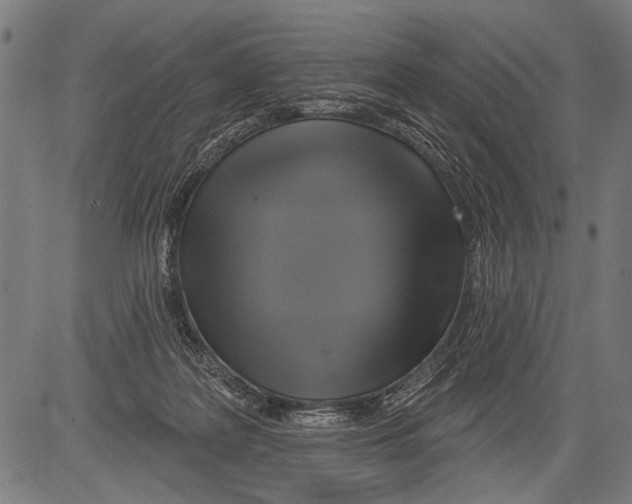 X0000081500219200702100104