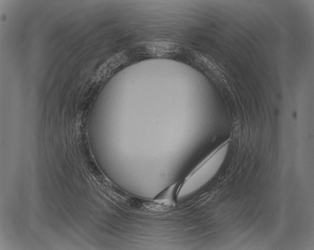 X0000081500221200702100104