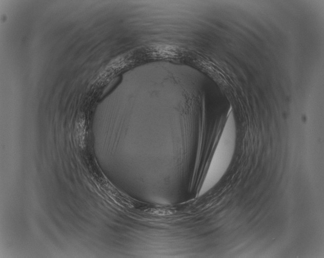 X0000081500223200702100104
