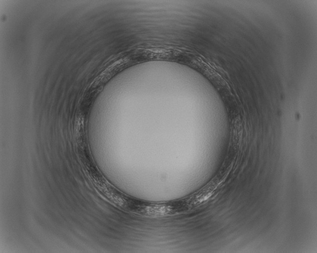 X0000081500225200702100104