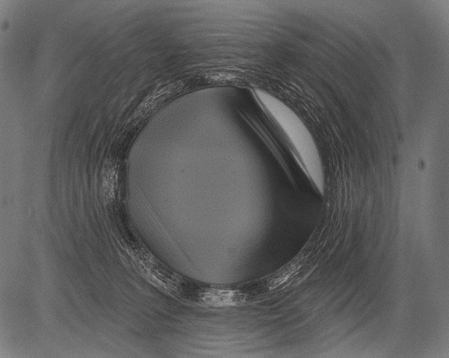 X0000081500227200702100103