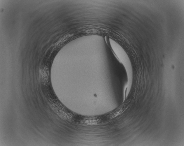 X0000081500228200702100103