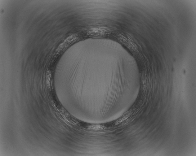 X0000081500231200702100103