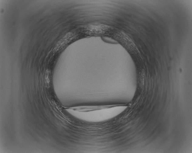 X0000081500232200702100103