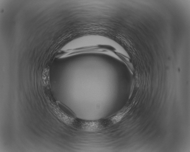 X0000081500237200702100103