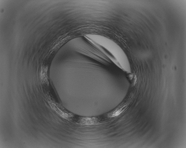 X0000081500239200702100103