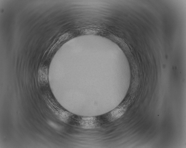 X0000081500240200702100103