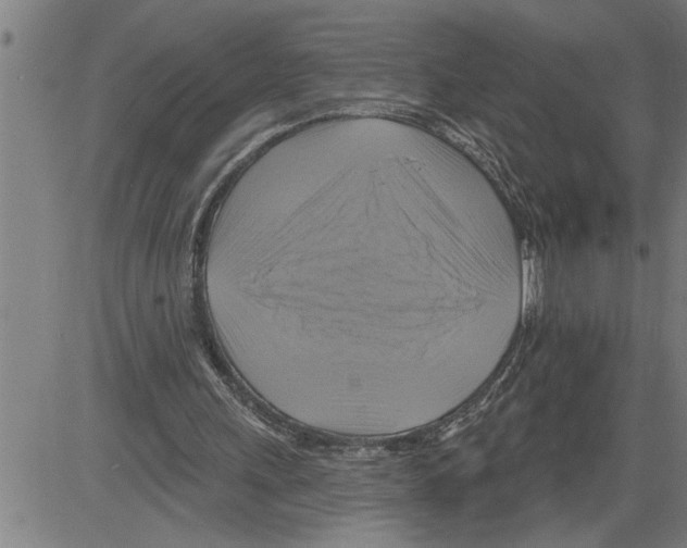 X0000081500243200702100103
