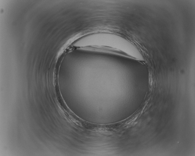 X0000081500244200702100103