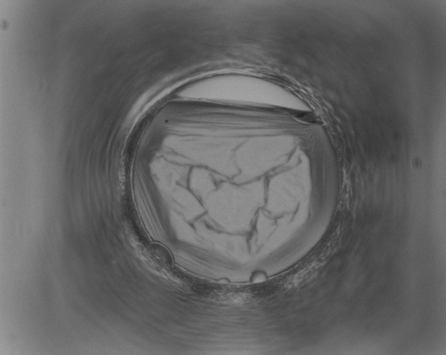 X0000081500247200702100103