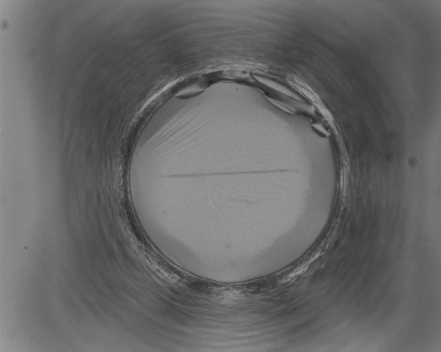 X0000081500249200702100103