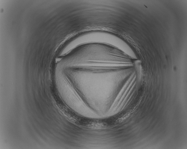 X0000081500256200702100103
