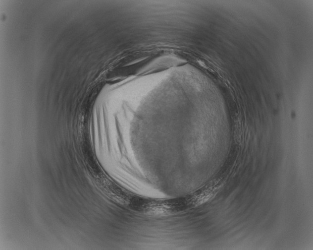 X0000081500263200702100103