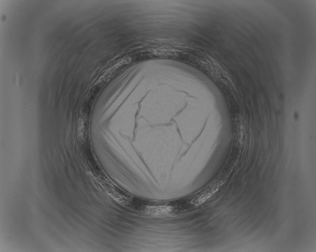 X0000081500266200702100103