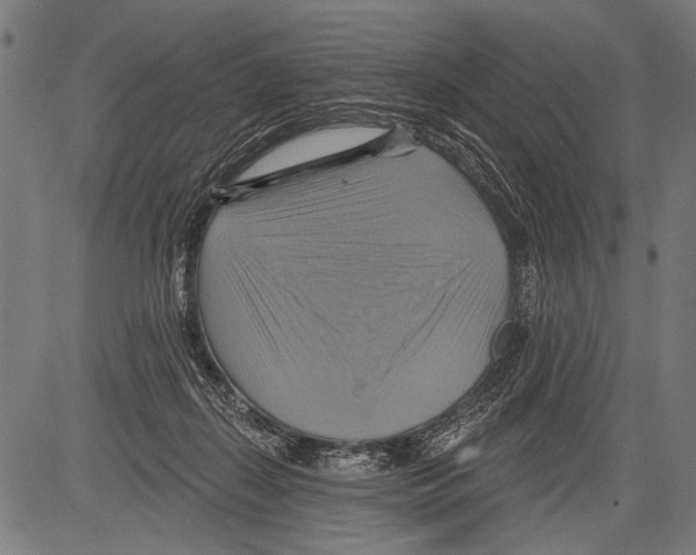 X0000081500267200702100103