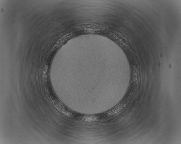 X0000081500275200702100103