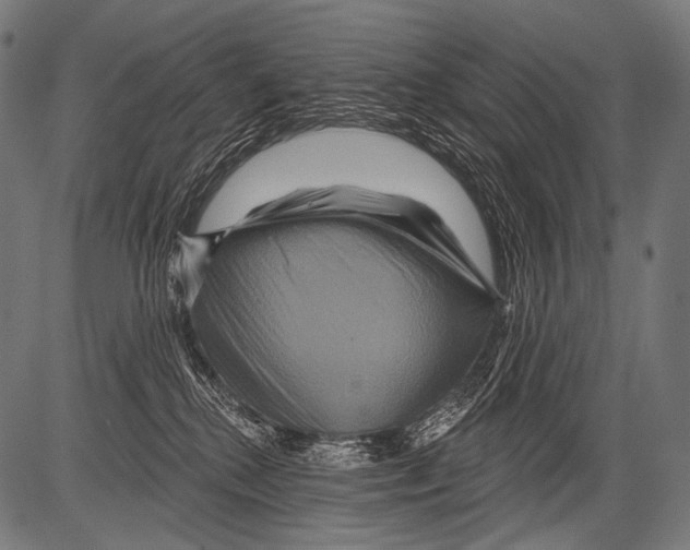 X0000081500280200702100103