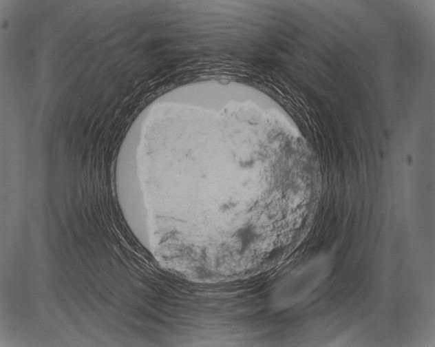 X0000081500281200702100103