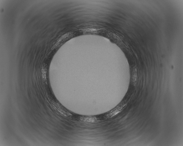 X0000081500282200702100103