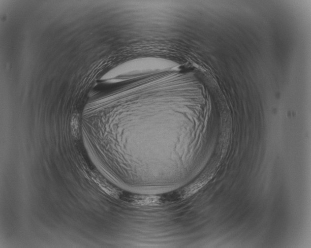 X0000081500288200702100103