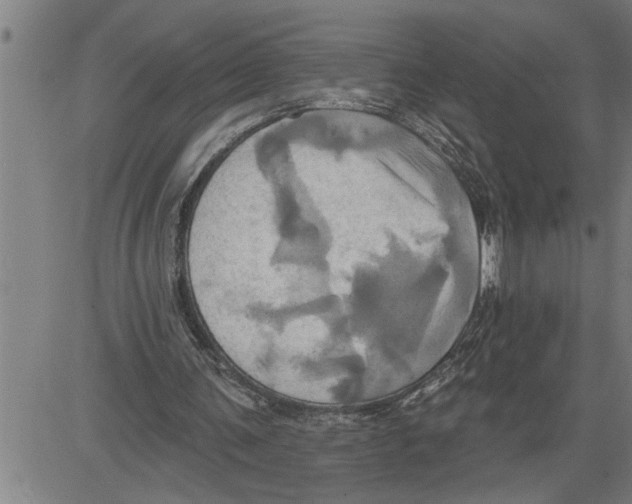 X0000081500291200702100102