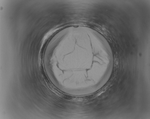 X0000081500294200702100102