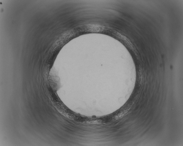 X0000081500307200702100102
