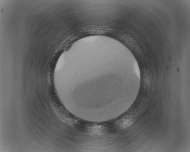 X0000081500312200702100102