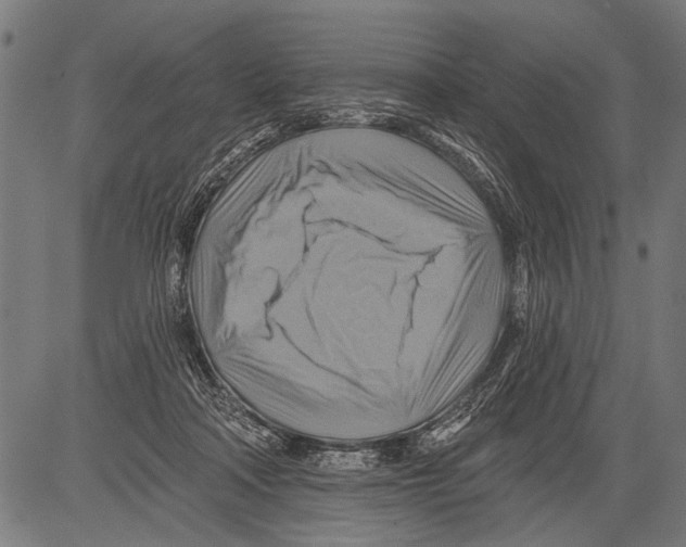 X0000081500314200702100102