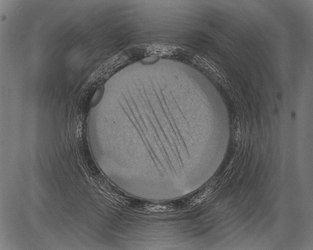 X0000081500315200702100102
