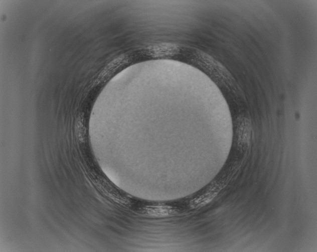 X0000081500316200702100102