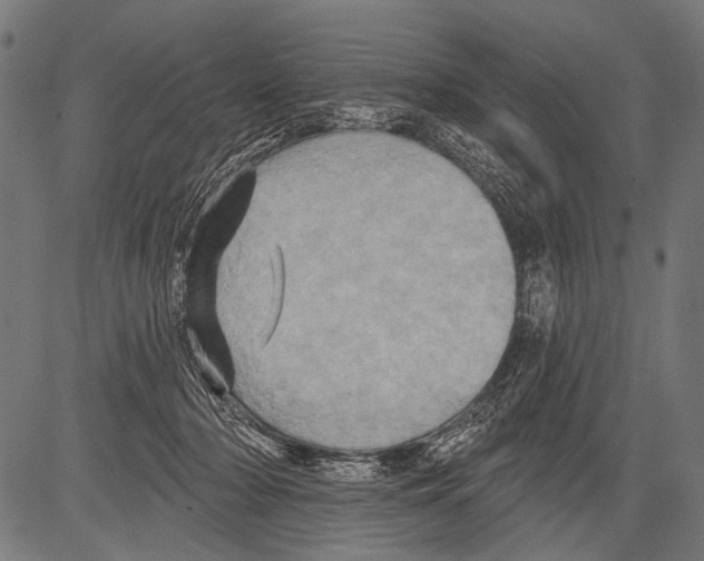 X0000081500318200702100102