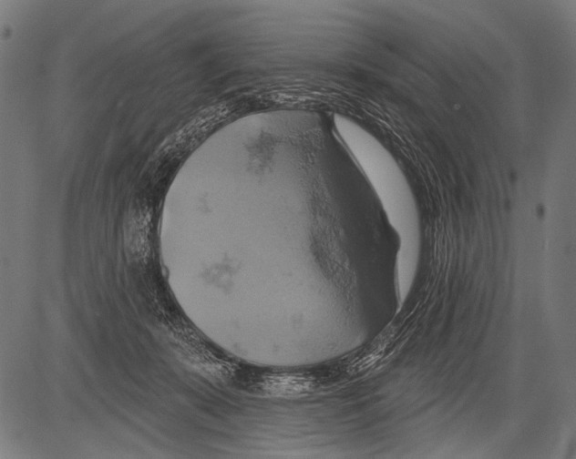 X0000081500319200702100102