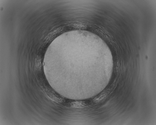 X0000081500320200702100102
